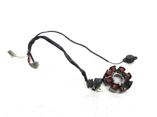Statore alternatore husqvarna - alternatore,