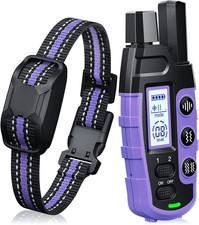 Collare Addestramento per