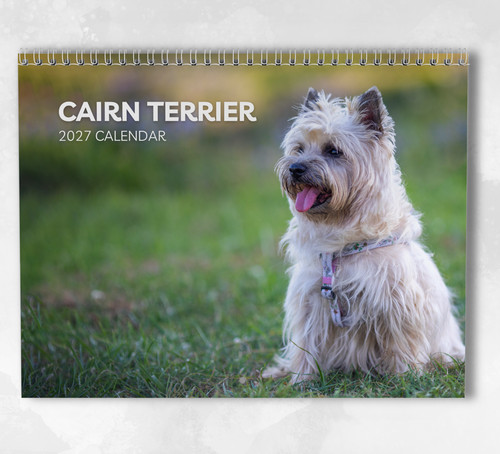 Calendario cairn terrier - calendario, 2027
