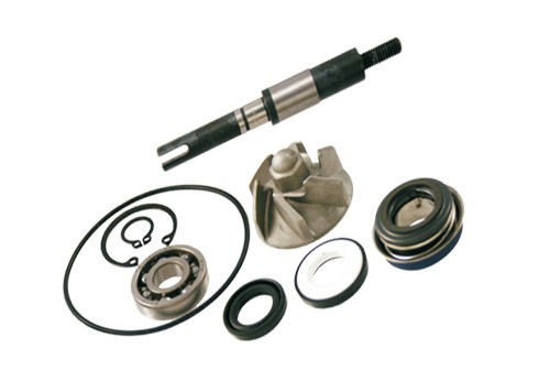 Kit revisione pompa acqua - revisione,