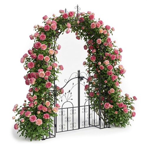 Arco per rose rampicante da - rampicante,