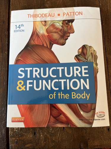Structure function of the - function,