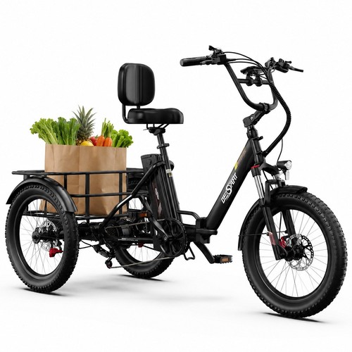 Triciclo elettrico cargo - triciclo,
