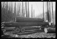 Tillamook County Oregon 1941