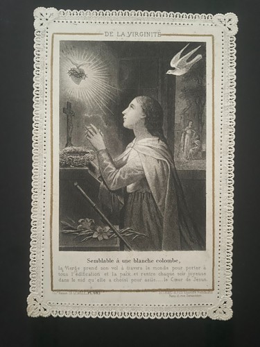 Holly card santino merletto - card,