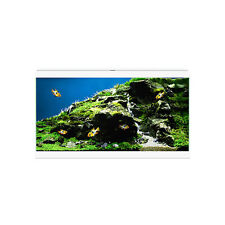 Askoll Ciao Aqua 60 Led Acquario In Vetro Completo 60x30x32h cm