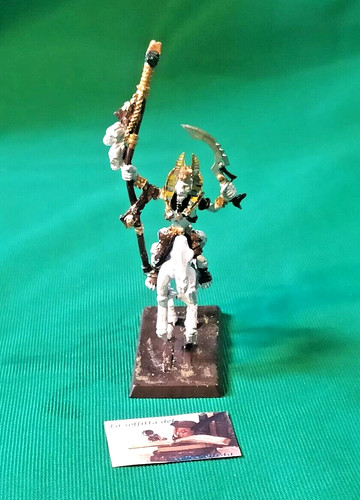 Warhammer fantasy sacerdote - warhammer,