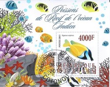 Blocco Used Coral Reef Pesci