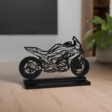 R 1300 RS Modello Decorazione