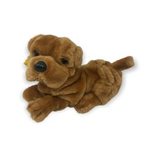 Sharpei Rughe Cane Cucciolo