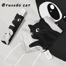 Gatto Morbido E Carino