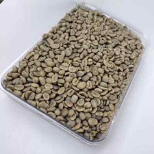 Kopi Luwak Gayo 100% caffè in