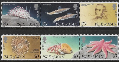 Isola man 1994 - isola,