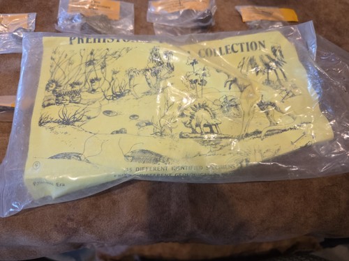 Fossile preistorico vintage
