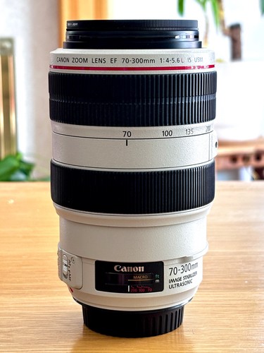 Canon 300 4 5 - 70-300, f/4-5.6