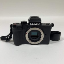 Panasonic Lumix G100 DC-G100