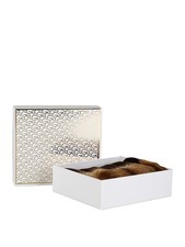 Gian Marco Venturi Sciarpa