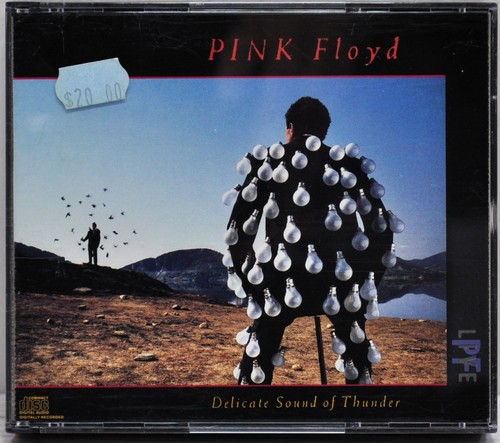 Pink floyd delicate sound of - pink,
