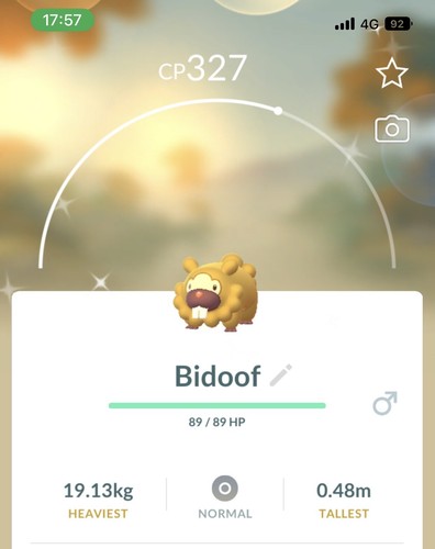 Shiny bidoof pokemon gen4 - shiny,