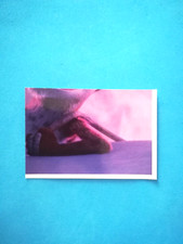 FIGURINA L'ERA GLACIALE