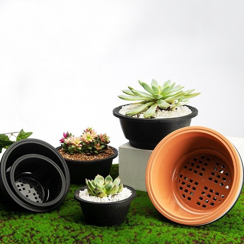 Per piante grasse vaso - ,