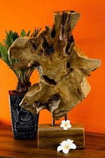 Scultura In Radice Di Teak Con