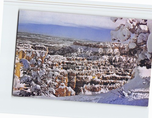 Cartolina winter wonderland - cartolina,