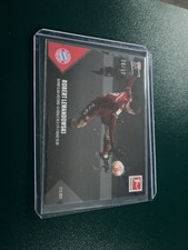 Robert Lewandowski Bundesliga