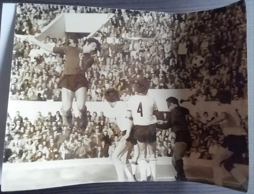 Foto asr associazione - asr, sportiva