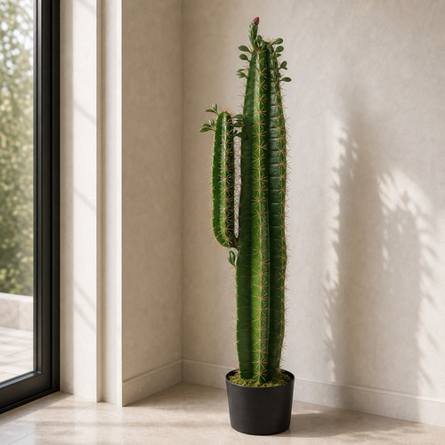 Cactus artificiale con - cactus, vaso