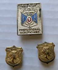 VTG Guild Professional