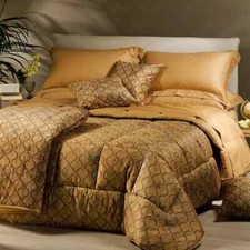 ALVIERO MARTINI 1 Classe