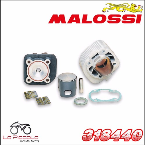 318440 gruppo termico malossi - 318440,