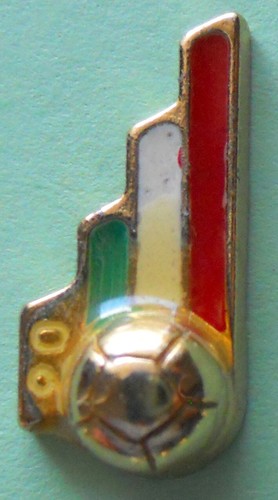 Distintivo spilla pin badge - spilla,