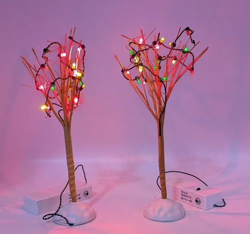 Set accessori villaggio - 2,