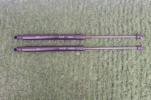 Coppia ammortizzatori gas - a,