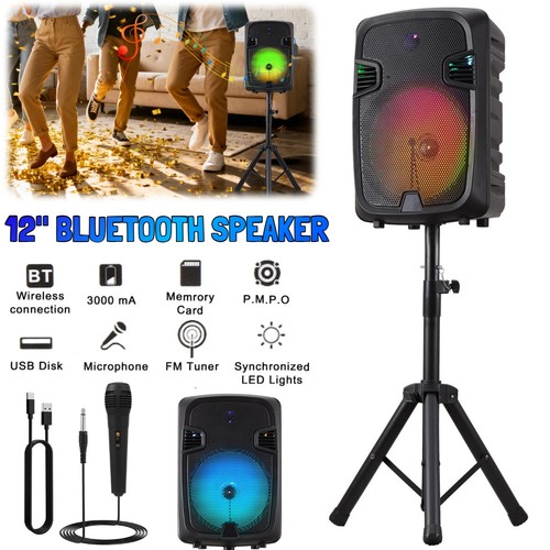 Altoparlante grande 10000w - altoparlante, 12"