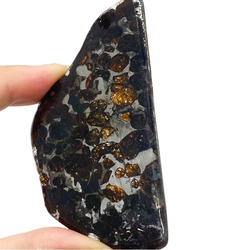 20g sericho pallasite - 20g,