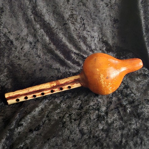 Pungi charmers flauto classico - flauto,