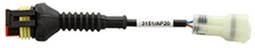 7538 cavo diagnosi - diagnosi, (3151/ap20)