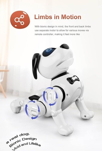 Robot telecomando giocattolo - telecomando,