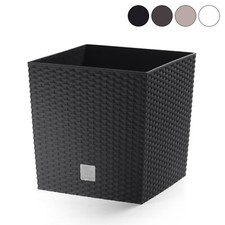 Vaso quadrato rato - vaso, square