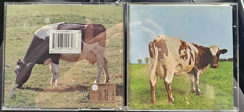 Pink floyd atom heart mother - pink,