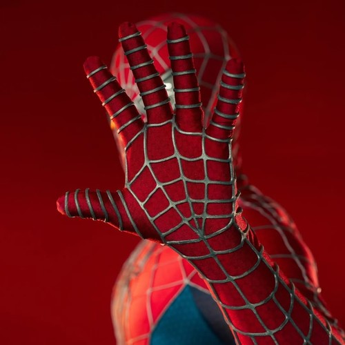 Costume toby spiderman - toby,