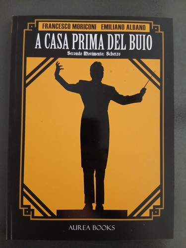 Aurea casa prima del buio - aurea, n
