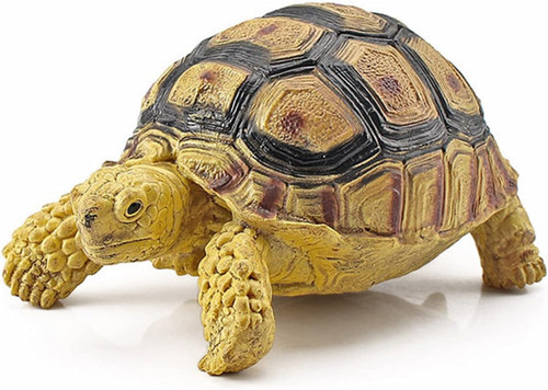 Statua tartaruga sulcata - statua,