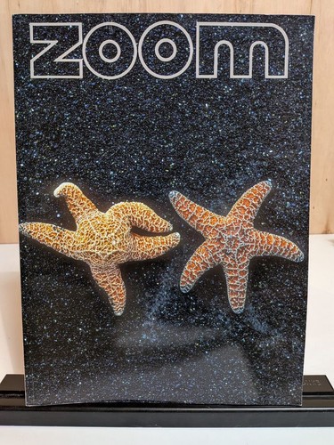 Zoom magazine english - zoom,