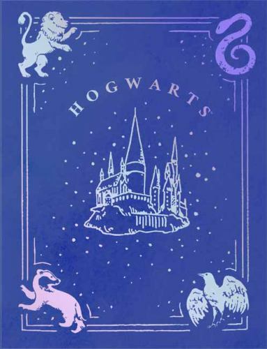 Harry potter bullet journal - harry,