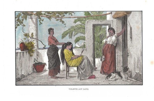 Stampa antica capri toilette - stampa,
