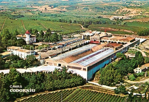 Codorniu cavas - codorniu,